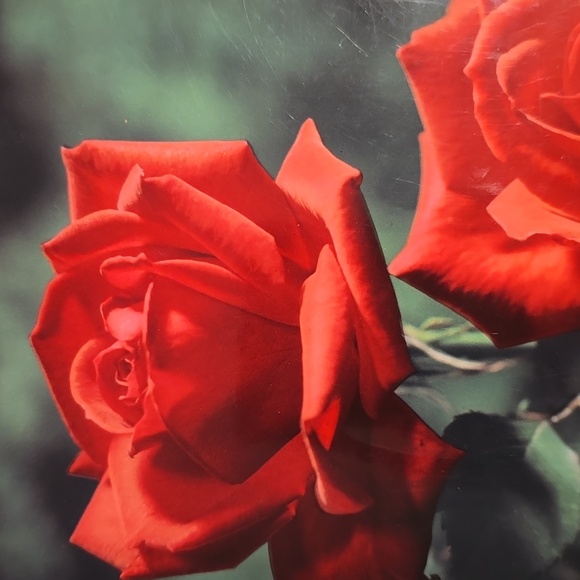 Vintage Reed Rose Gift Box - Picture 2 of 6